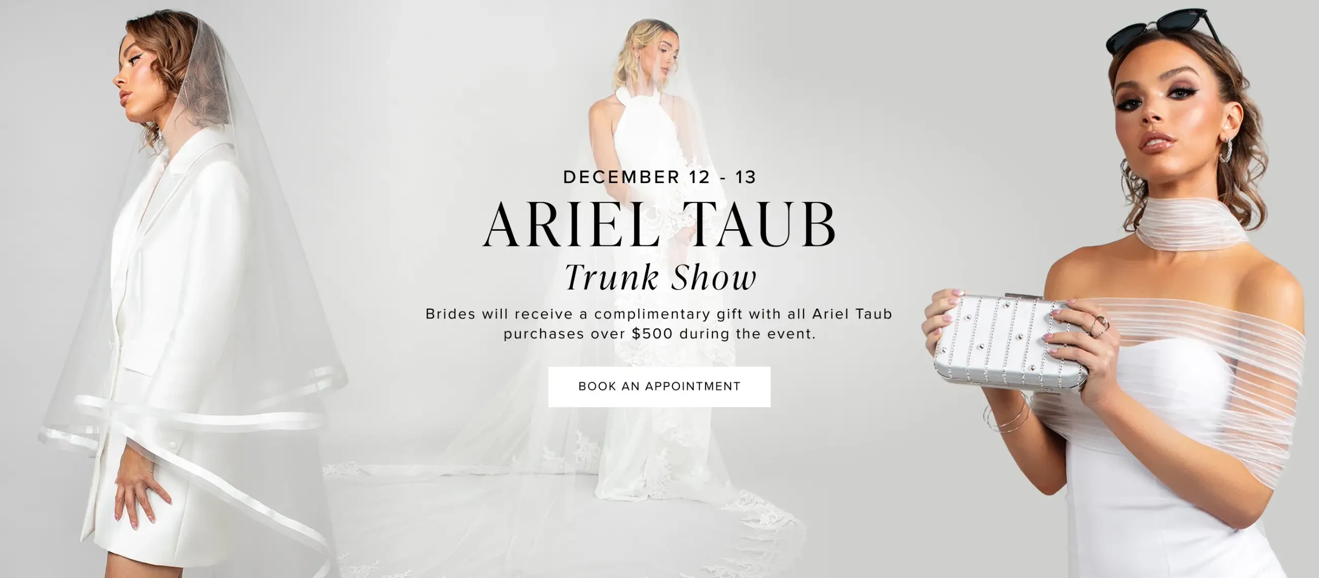 Ariel Taub trunk show desktop banner