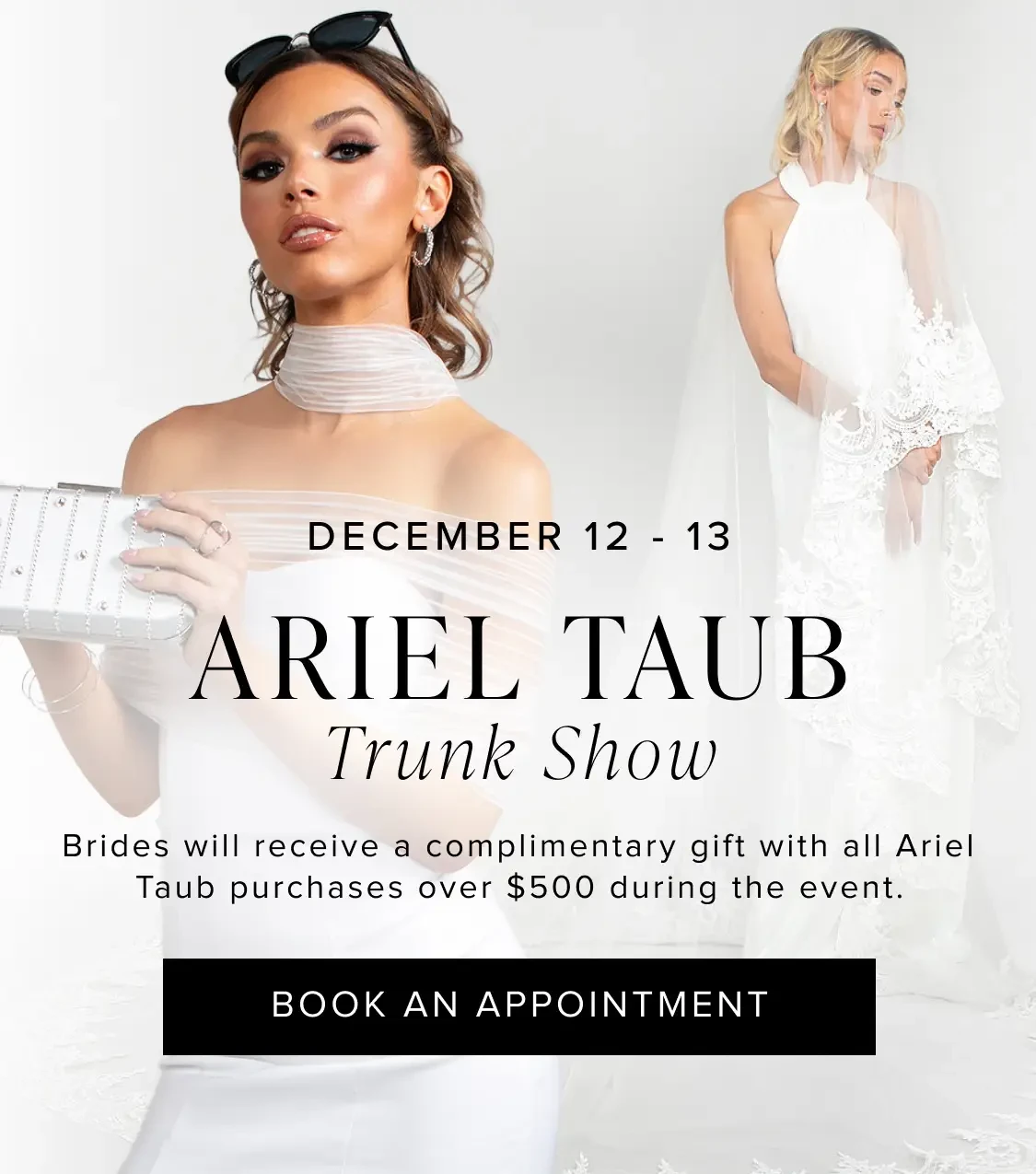 Ariel Taub trunk show mobile banner